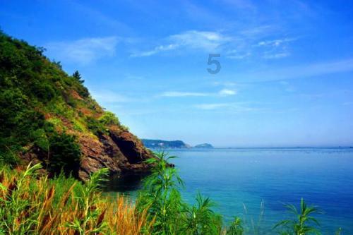 菲沃泰：截至2024年1月19日前十大流通股东持股占比36.34%